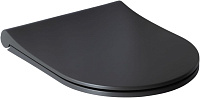 Сиденье для унитаза Allen Brau Priority 4.31004.AN микролифт, антрацит