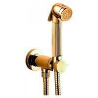 Смеситель с гигиеническим душем Bossini Nikita E37008B.021 Золото Смеситель с гигиеническим душем Bossini Nikita E37008B.021 Золото