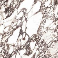 Xlight Viola, Керамогранит, 120x120 см