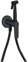 Гигиенический душ Aquanet Passion AF300-52B, черный матовый Гигиенический душ Aquanet Passion AF300-52B, черный матовый