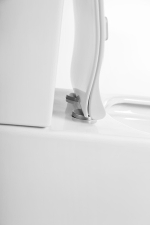 Фото унитаз напольный belbagno acqua bb340cpr, безободковый