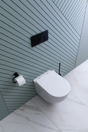 Фото унитаз подвесной безободковый aquanet rimless cetus 2.0 w lx-1901 белый, сиденье микролифт