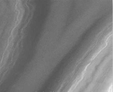 Ceracasa Absolute, Напольная плитка, 47x47 см