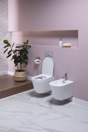 Фото биде подвесное aquanet atago 2.0 b2 lx-1057