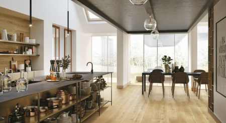 Atlas Exence, Керамогранит, 20x120 см