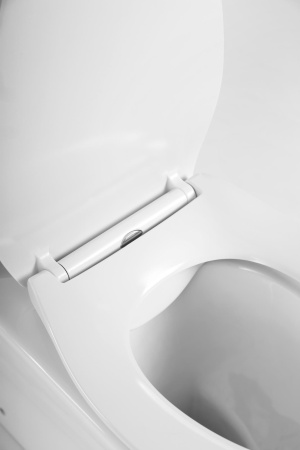 Фото унитаз напольный belbagno acqua bb340cpr, безободковый