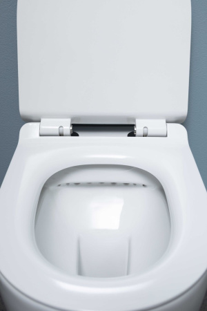 Фото унитаз подвесной безободковый aquanet rimless cetus w short lx-1900 белый, сиденье микролифт