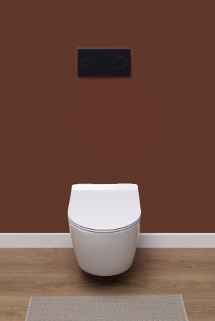 Фото унитаз подвесной безободковый aquanet rimless cetus-w bl-102n-wht белый, сиденье микролифт