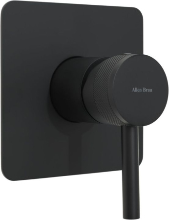 Фото встраиваемый смеситель для душа allen brau priority x1 5.31012-31, черный матовый