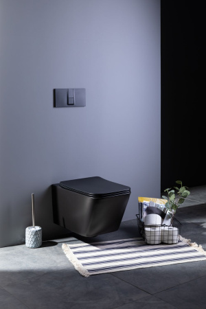 Фото унитаз подвесной безободковый aquanet rimless tavr-w bl-103n-wht черный матовый, сиденье микролифт