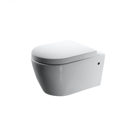 Фото унитаз подвесной bravat gina c2190uw-eng, сиденье микролифт