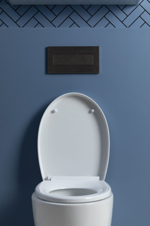 Фото унитаз подвесной безободковый aquanet zv-1, белый