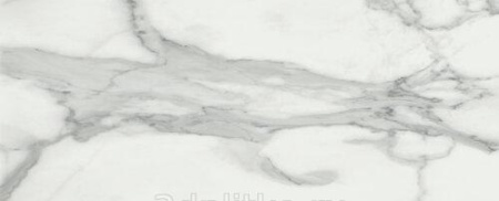 Baldocer Invictus, Керамогранит, 60x120 см