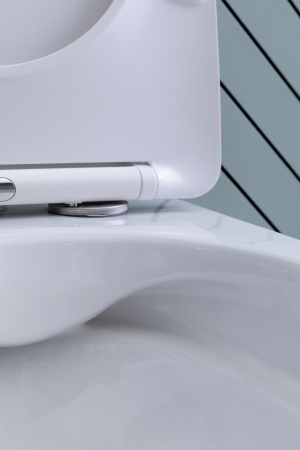 Фото унитаз подвесной безободковый aquanet rimless cetus 2.0 w lx-1901 белый, сиденье микролифт