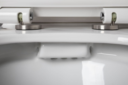 Фото унитаз напольный безободковый aquanet rimless logic-c cl-12339 белый, сиденье микролифт