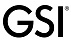 GSI GSI