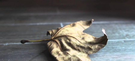 Pamesa Castle, Напольная плитка, 20x60 см