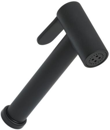 Фото гигиеническая лейка allen brau priority 5.31028-31, черный матовый