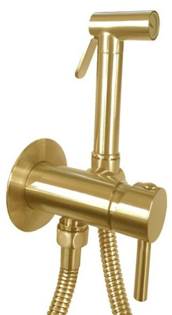 Фото гигиенический душ paffoni zdup110hgsp, золото матовое