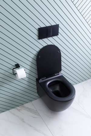 Фото унитаз подвесной безободковый aquanet rimless cetus-bw bl-102n-wht черный, сиденье микролифт