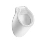 Фото писсуар roca spun подвод сзади, белый