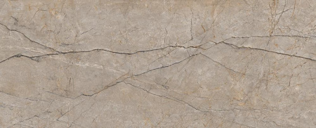 Cersanit Silver Roots, Керамогранит, 60x120 см