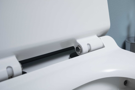 Фото унитаз подвесной безободковый aquanet rimless cetus w short lx-1900 белый, сиденье микролифт