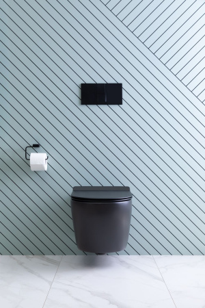 Фото унитаз подвесной безободковый aquanet rimless cetus-bw bl-102n-wht черный, сиденье микролифт