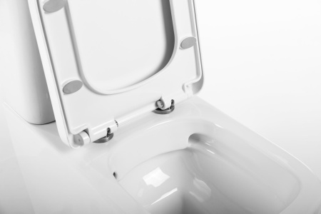 Фото унитаз напольный belbagno albano bb120cpr, безободковый