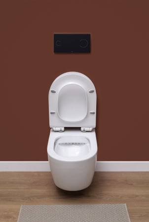 Фото унитаз подвесной безободковый aquanet rimless cetus-w bl-102n-wht белый, сиденье микролифт