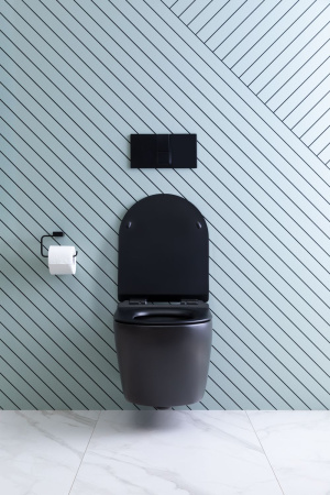 Фото унитаз подвесной безободковый aquanet rimless cetus-bw bl-102n-wht черный, сиденье микролифт