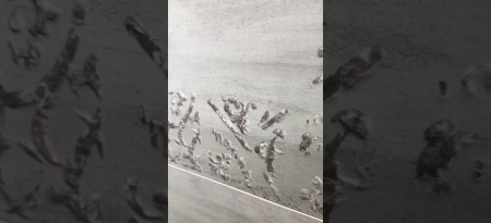 Ibero Sospiro, Керамогранит, 20x20 см