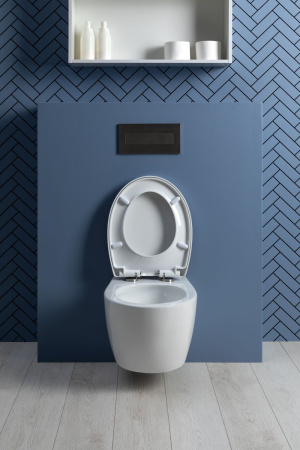 Фото унитаз подвесной безободковый aquanet zv-1, белый