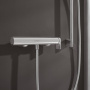 Фото смеситель hansgrohe vivenis 75620000 для душа хром