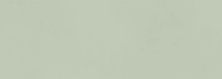 Atlas Boost Color, Настенная плитка, 50x120 см