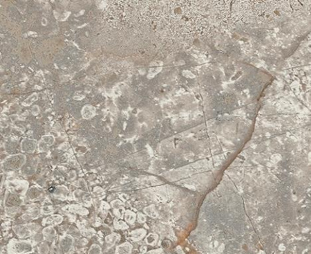 Atlas Empire, Вставка, 7.2x7.2 см