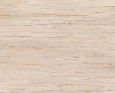 Cersanit Botanica, Керамогранит, 42x42 см