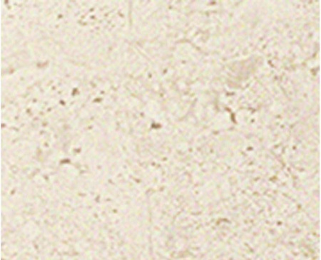 Pamesa CR Empoli-CR Senesi, Керамогранит, 22.3x22.3 см